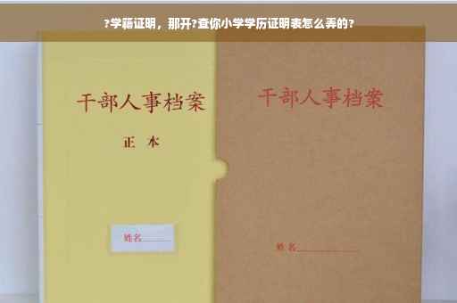 ?学籍证明，那开?查你小学学历证明表怎么弄的?