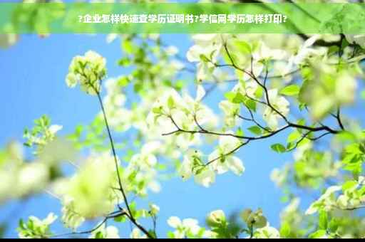 ?企业怎样快速查学历证明书?学信网学历怎样打印?