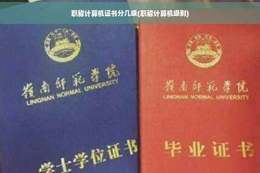 职称计算机证书分几级(职称计算机级别)