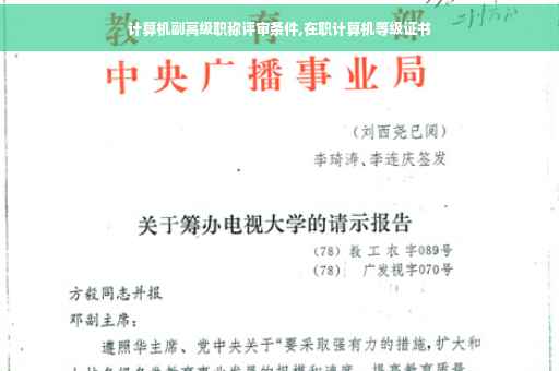 计算机副高级职称评审条件,在职计算机等级证书