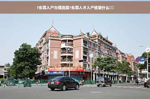 ?东莞入户办理流程?东莞人才入户核查什么⚡️