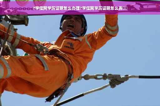 ?学信网学历证明怎么办理?学信网学历证明怎么弄⚡️