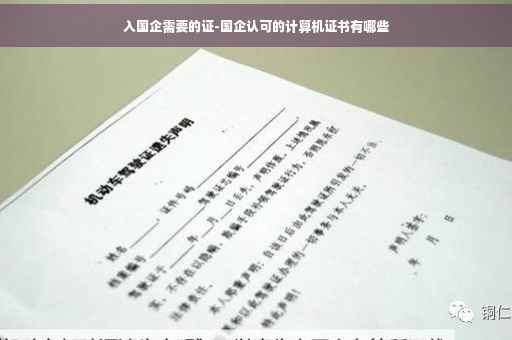 入国企需要的证-国企认可的计算机证书有哪些