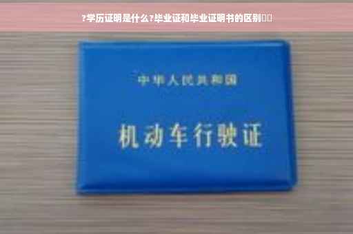 ?学历证明是什么?毕业证和毕业证明书的区别⚡️