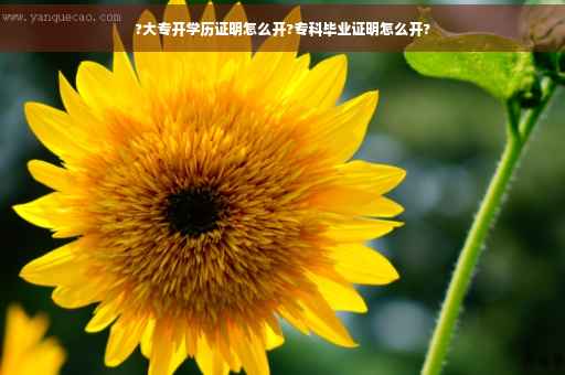 ?大专开学历证明怎么开?专科毕业证明怎么开?