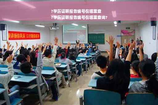 ?学历证明报告编号在哪里查
?学历证明报告编号在哪里查询?