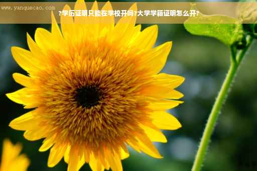 ?学历证明只能在学校开吗?大学学籍证明怎么开?