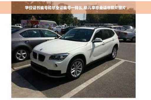 学位证书编号和毕业证编号一样么,幼儿拿毕业证书照片图片