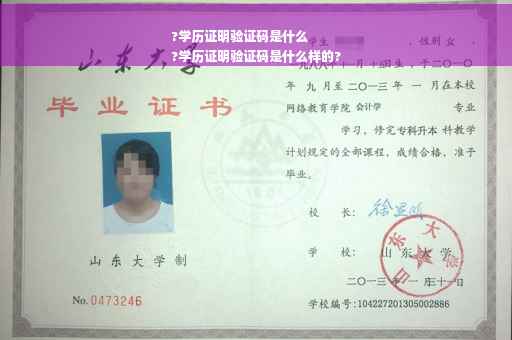 ?学历证明验证码是什么
?学历证明验证码是什么样的?