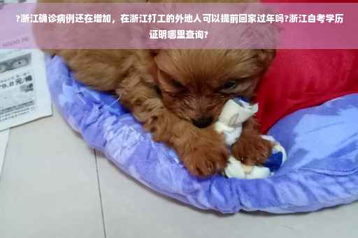 ?浙江确诊病例还在增加，在浙江打工的外地人可以提前回家过年吗?浙江自考学历证明哪里查询?