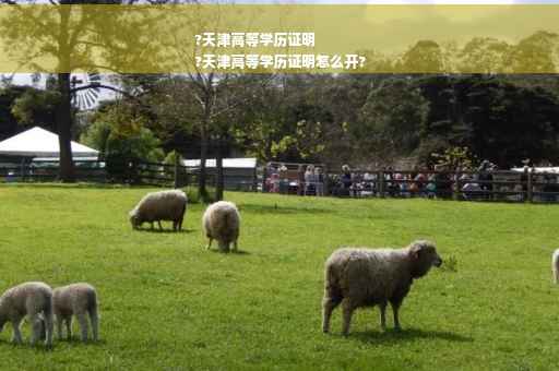 ?天津高等学历证明
?天津高等学历证明怎么开?