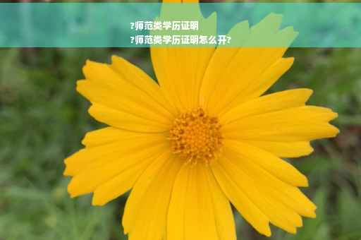 ?师范类学历证明
?师范类学历证明怎么开?