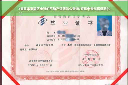 ?宜昌市夷陵区小孩的不动产证明怎么查询?宜昌中专学历证明书
⚡️