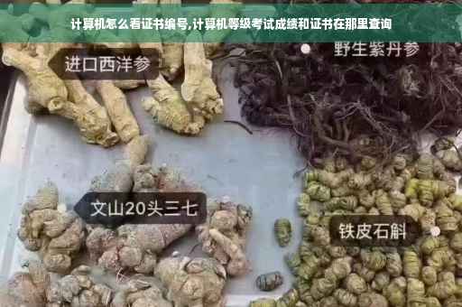 计算机怎么看证书编号,计算机等级考试成绩和证书在那里查询 计算机怎么看证书编号,计算机等级考试成绩和证书在那里查询