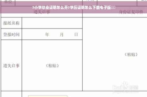 ?小学毕业证明怎么开?学历证明怎么下载电子版⚡️