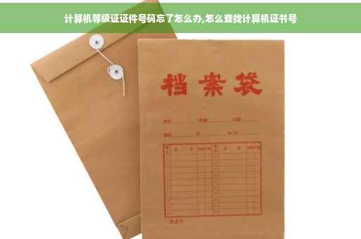 计算机等级证证件号码忘了怎么办,怎么查找计算机证书号 计算机等级证证件号码忘了怎么办,怎么查找计算机证书号