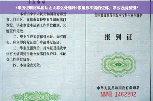 ?学历证明材料图片太大怎么处理好?家里数不清的证件，怎么收纳整理?