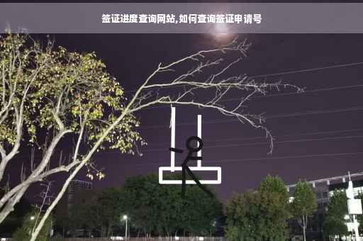 签证进度查询网站,如何查询签证申请号