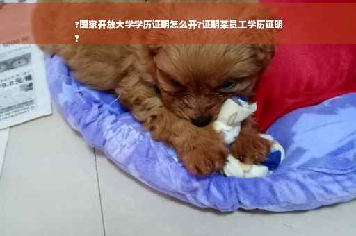 ?国家开放大学学历证明怎么开?证明某员工学历证明
?