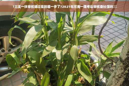 ?三支一扶审核通过是到哪一步了?2021年河南一建考后审核查社保吗⚡️