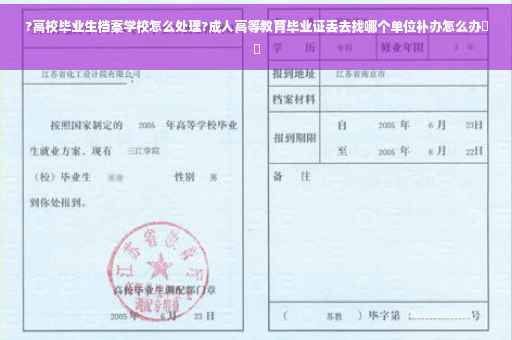 ?高校毕业生档案学校怎么处理?成人高等教育毕业证丢去找哪个单位补办怎么办⚡️