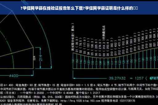 ?学信网学籍在线验证报告怎么下载?学信网学籍证明是什么样的⚡️