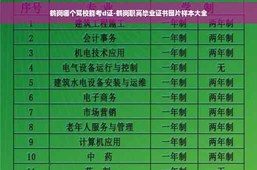 鹤岗哪个驾校能考d证-鹤岗职高毕业证书图片样本大全