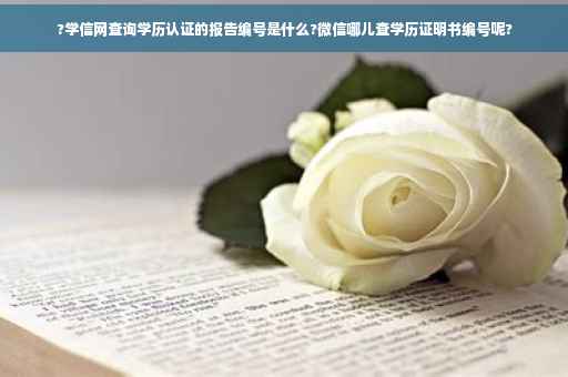 ?学信网查询学历认证的报告编号是什么?微信哪儿查学历证明书编号呢?