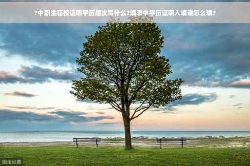 ?中职生在校证明学历层次写什么?填表中学历证明人填谁怎么填?