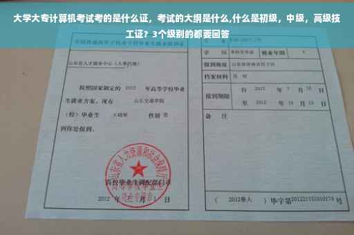 大学大专计算机考试考的是什么证，考试的大纲是什么,什么是初级，中级，高级技工证？3个级别的都要回答