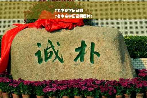 ?老中专学历证明
?老中专学历证明图片?