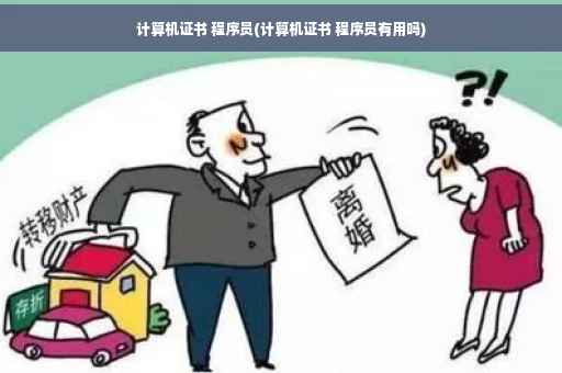 计算机证书 程序员(计算机证书 程序员有用吗)