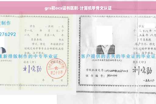 grs和ocs证书区别-计算机甲骨文认证
