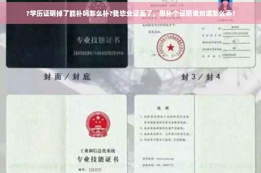 ?学历证明掉了能补吗怎么补?我毕业证丢了，想补个证明谁知道怎么弄?