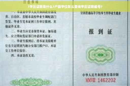 ?学历证明是什么?户籍学位怎么查询学历证明编号?