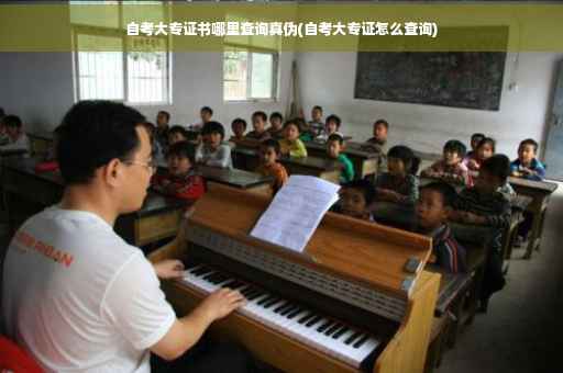 自考大专证书哪里查询真伪(自考大专证怎么查询)