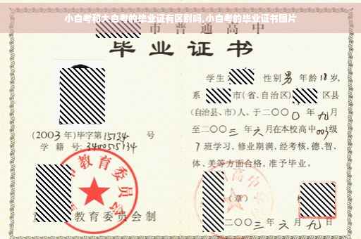小自考和大自考的毕业证有区别吗,小自考的毕业证书图片