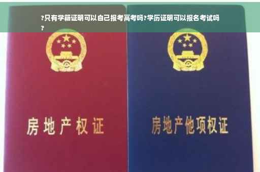 ?只有学籍证明可以自己报考高考吗?学历证明可以报名考试吗
?