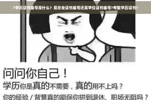 ?学历证书编号是什么？是毕业证书编号还是学位证书编号?考取学历证书?