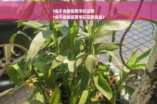 ?会不会查前置学历证明
?会不会查前置学历证明信息?