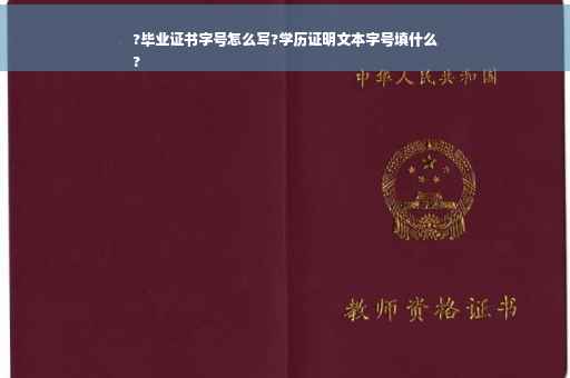 ?毕业证书字号怎么写?学历证明文本字号填什么
?