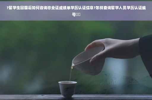 ?留学生回国后如何咨询毕业证成绩单学历认证信息?怎样查询留学人员学历认证编号⚡️