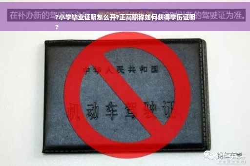 ?小学毕业证明怎么开?正高职称如何获得学历证明
?