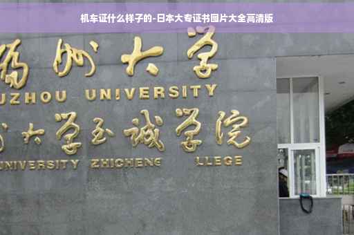 机车证什么样子的-日本大专证书图片大全高清版