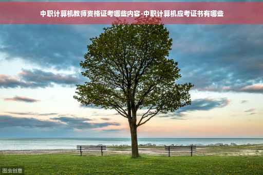 中职计算机教师资格证考哪些内容-中职计算机应考证书有哪些
