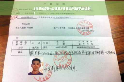?没毕业叫什么肄业?肄业证书算学历证明
?
