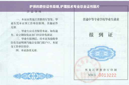 护师的聘任证书是啥,护理技术专业毕业证书图片