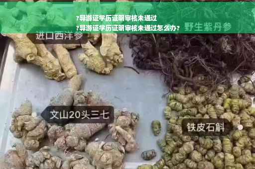 ?导游证学历证明审核未通过
?导游证学历证明审核未通过怎么办?