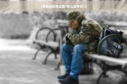 ?学历证明怎么查?怎么查学历⚡️