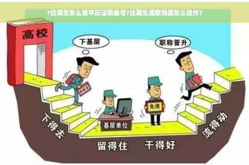 ?往届生怎么查学历证明编号?往届生调取档案怎么操作?